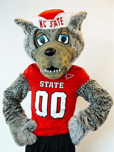 The wolf mascot of north carolina state